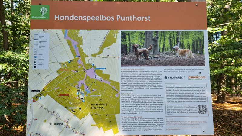 Informatiebord Hondenspeelbos Punthorst